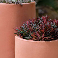 Photo of Campania Rioja Planters - Set of 2 - Exclusively Campania