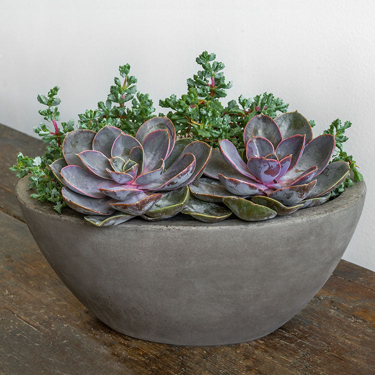 Photo of Campania Geo Oval Planter - Fiber Cement - Set of 4 - Exclusively Campania