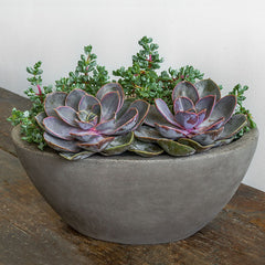 Photo of Campania Geo Oval Planter - Fiber Cement - Set of 4 - Exclusively Campania