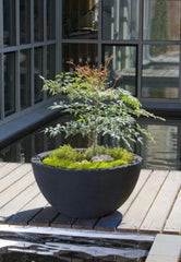 Photo of Campania Piccadilly Planters - Exclusively Campania