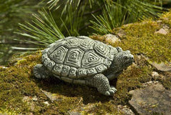 Photo of Campania My Pet Turtle - Exclusively Campania