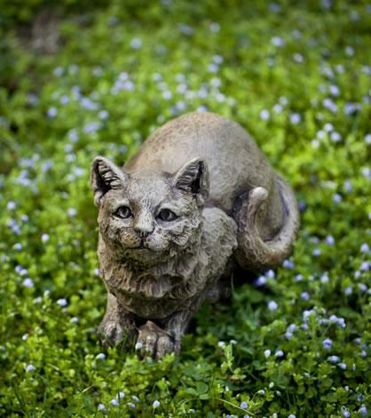 Photo of Campania Patience - Exclusively Campania