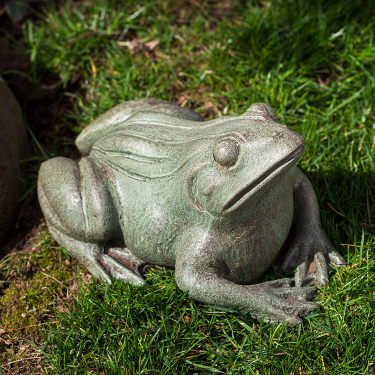 Photo of Campania Woodland Frog - Exclusively Campania