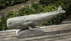 Photo of Campania Sperm Whale - Exclusively Campania