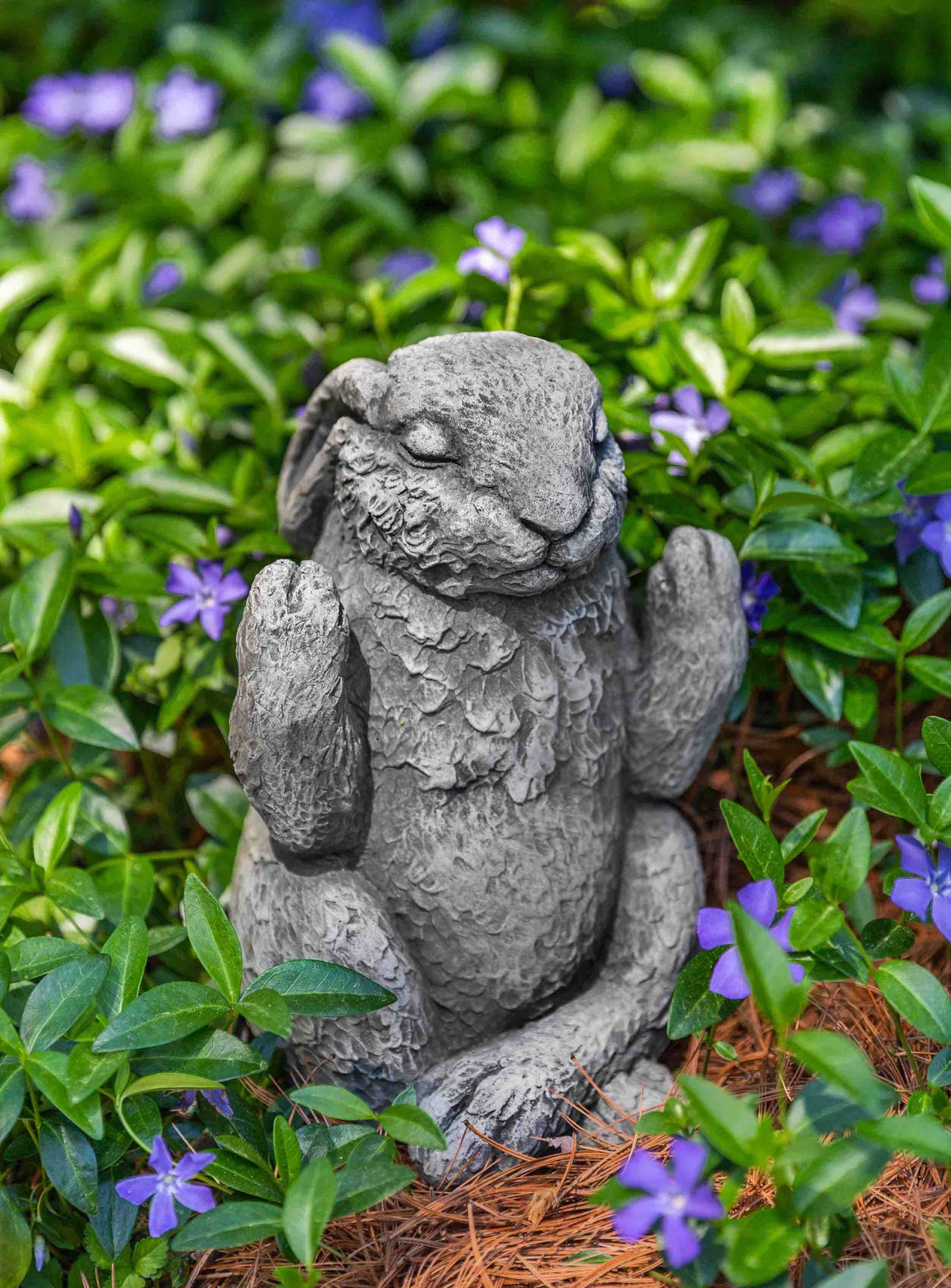 Photo of Campania Meditation Bunny - Exclusively Campania