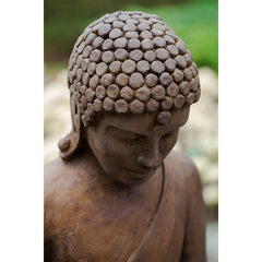 Photo of Campania Lotus Buddha - Exclusively Campania