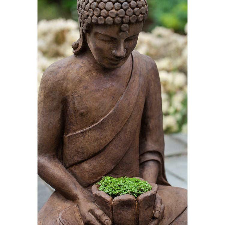Photo of Campania Lotus Buddha - Exclusively Campania