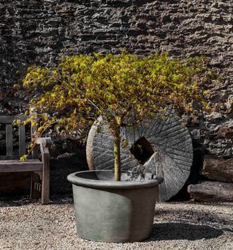 Photo of Campania Palo Alto Planters - Exclusively Campania