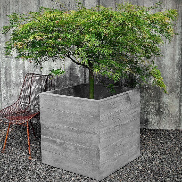 Photo of Chenes Brut Planters - Exclusively Campania