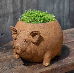 Photo of Campania Roly Poly Pig Planter - Exclusively Campania