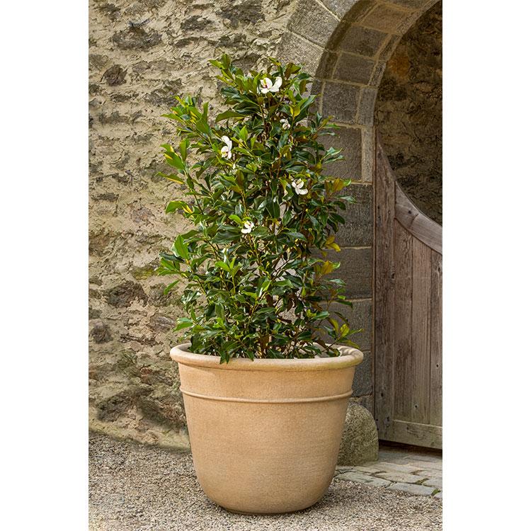 Photo of Campania Carema Planter Series - Exclusively Campania