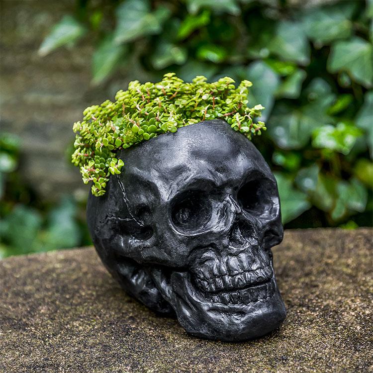 Photo of Campania Skull Planter - Exclusively Campania