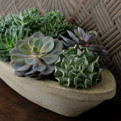 Photo of Barca Planters - Exclusively Campania