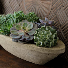 Photo of Barca Planters - Exclusively Campania