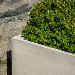 Photo of Campania Cube Planter - Exclusively Campania