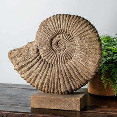 Photo of Campania Ammonite Planters - Exclusively Campania